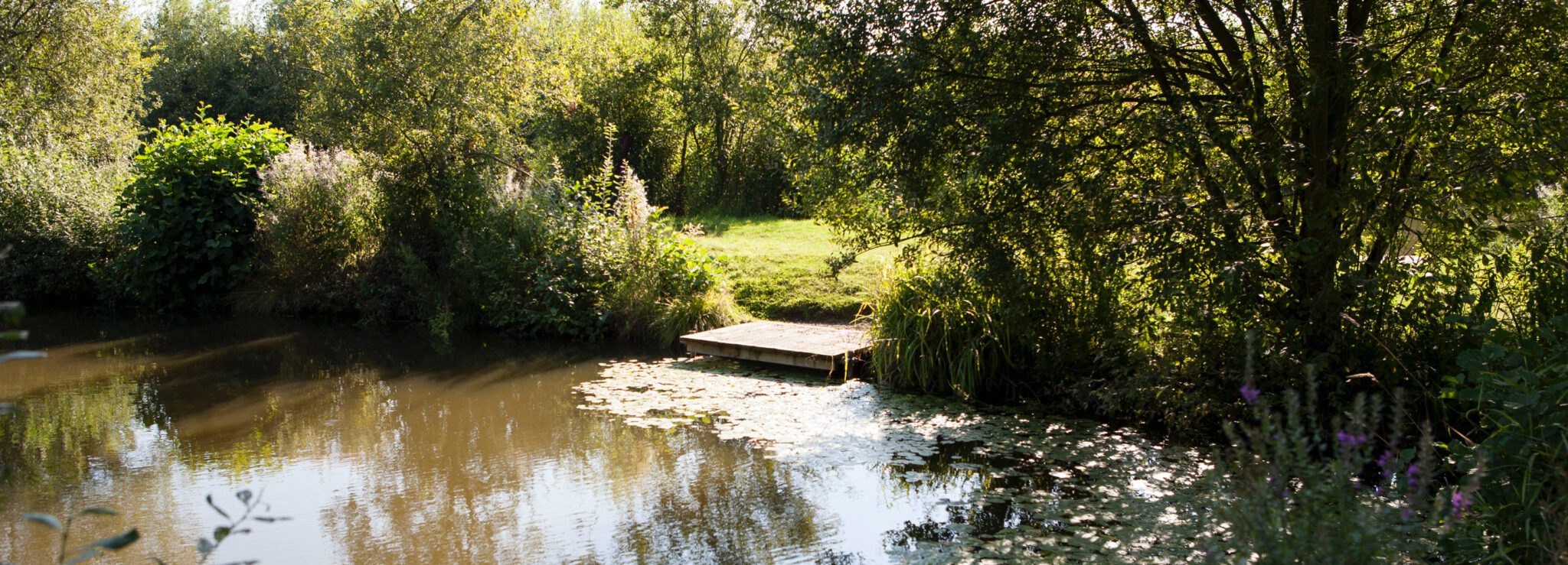 Packington Somers Fishery, from the fishery's own website